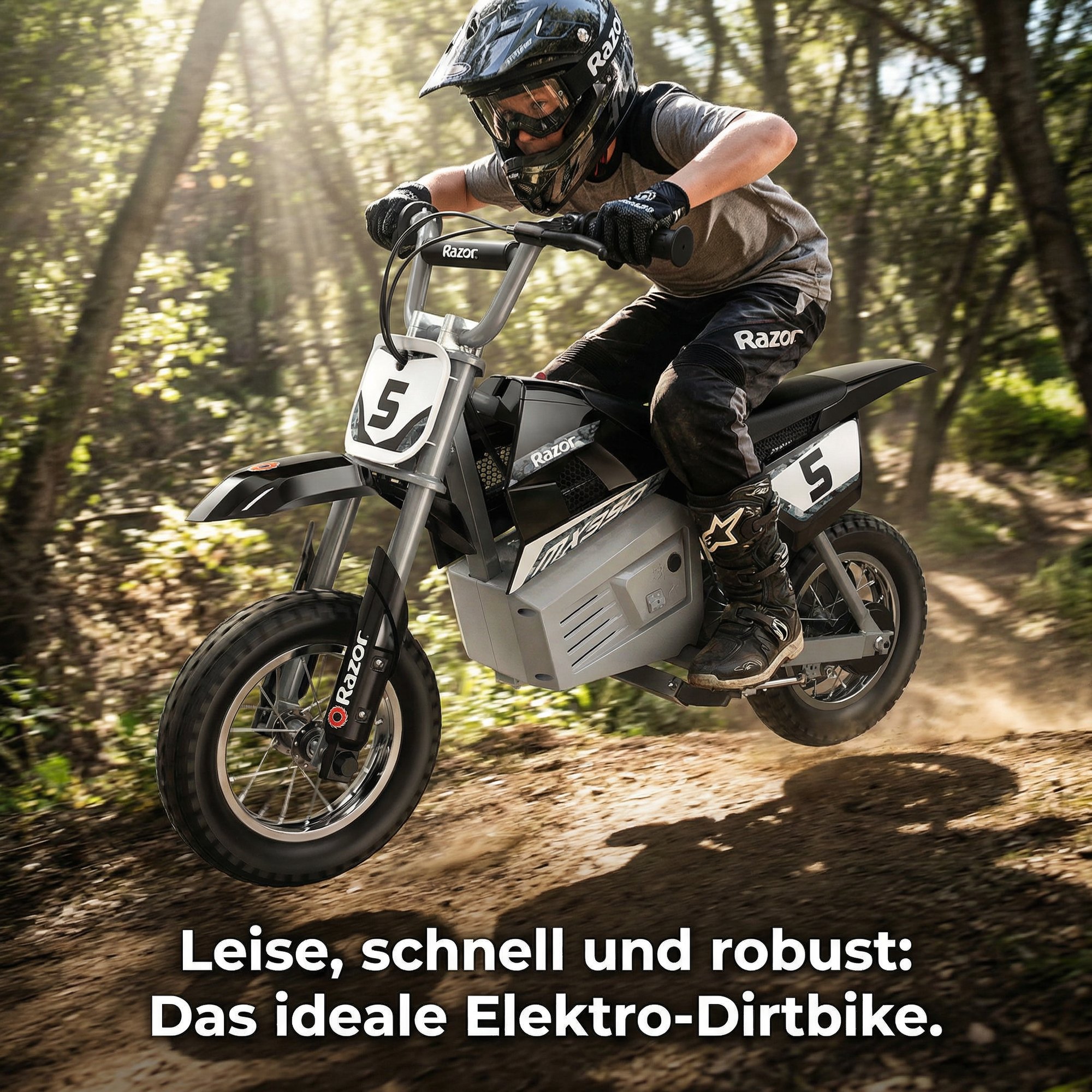 Bergauf im Gegenlicht — „Leise, schnell und robust.“